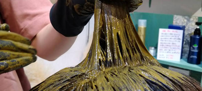 植物の恵み、天然ヘナ